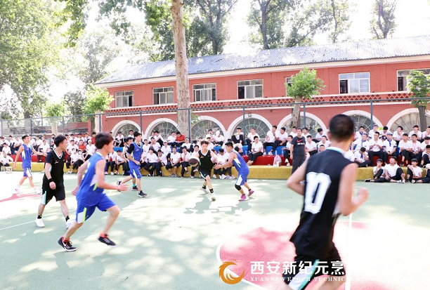关于,团结,力量,友谊,篮球,总决赛,新纪元,展开,激烈,对