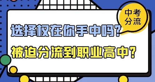 当你,面对,中考,分流,危机,如何,选择,才能,学霸,未来,